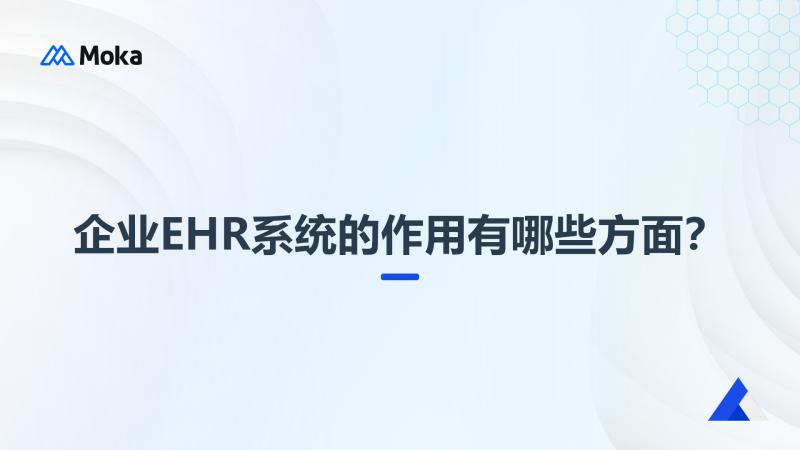 企业ehr系统
