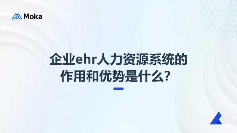 企业ehr人力资源系统