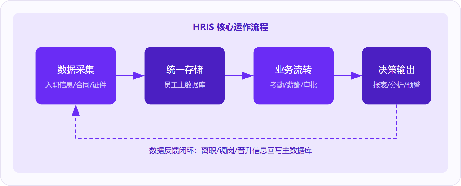 图 1：HRIS 通过"采集→存储→流转→输出"四步闭环运作，员工全生命周期数据在一个平台内完成归集、调用和反馈。