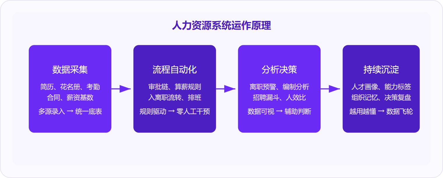 图 1：人力资源系统的核心价值链是"采集—自动化—分析—沉淀"四阶段闭环，最终形成越用越精准的数据飞轮。